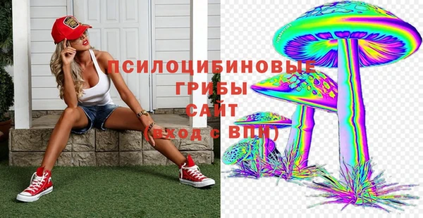 COCAINE Богородск