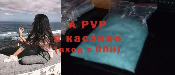 мяу мяу кристалл Богданович