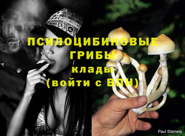 COCAINE Богородск