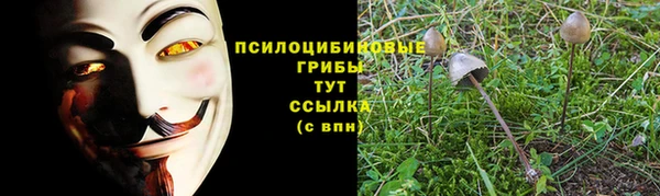 мяу мяу кристалл Богданович